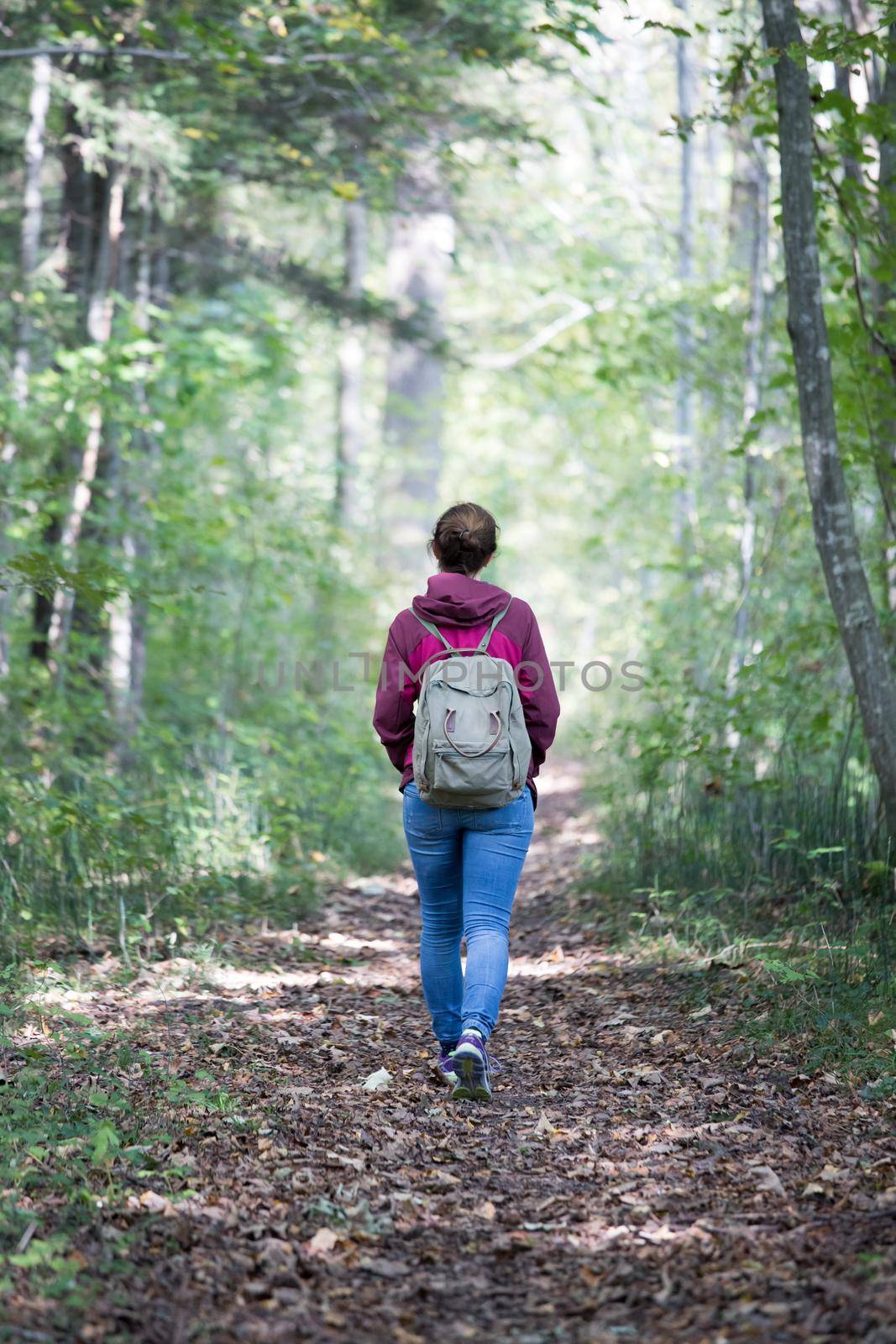 Get your mind free and forest therapy concept: Young girl is hiking through the green forest by Daxenbichler