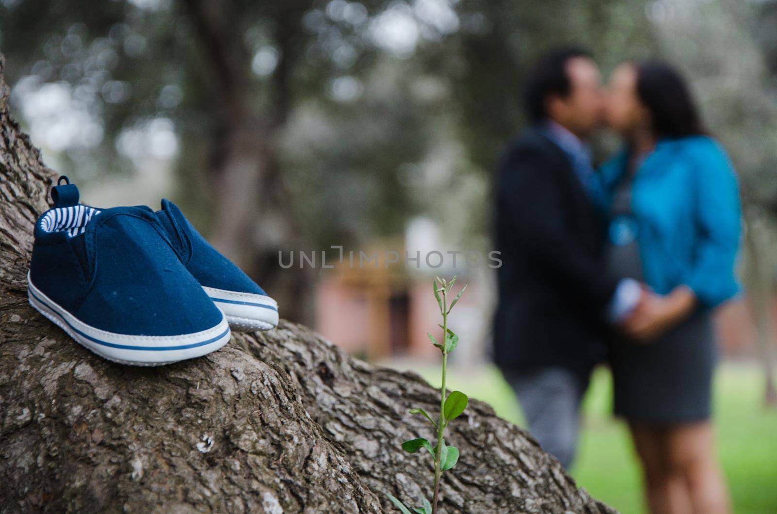 A portrait of a pair of baby shoes with a pregnant woman and her husband in the background of a park