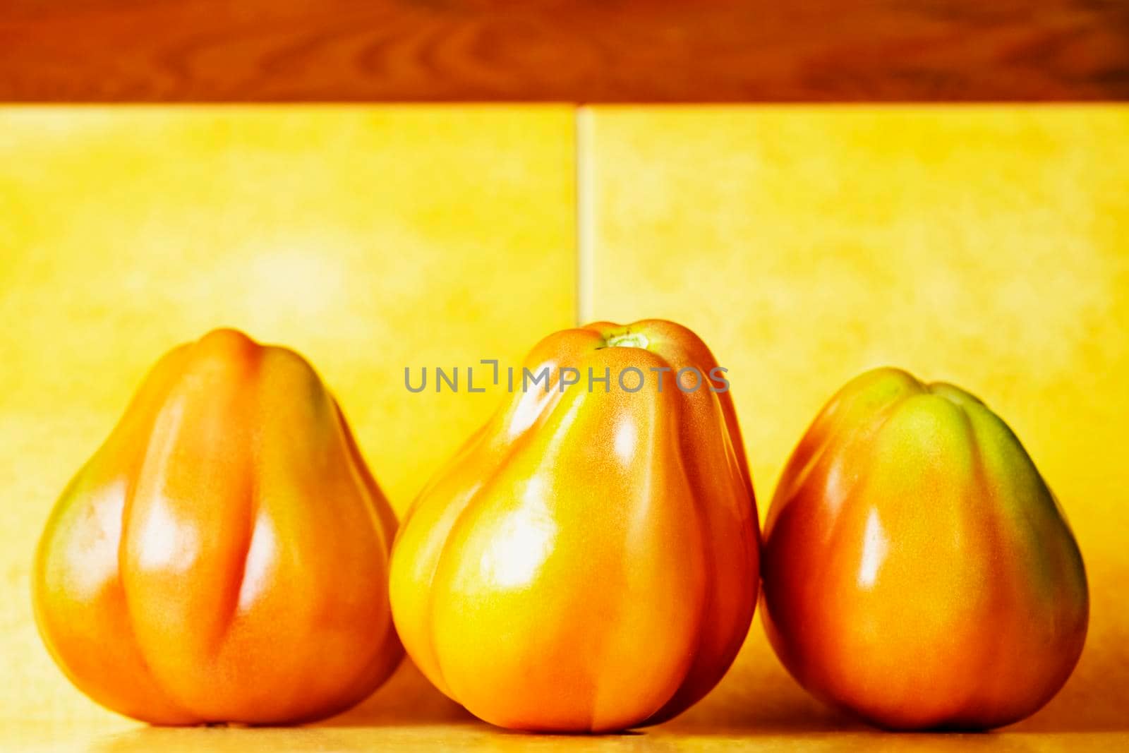 Several red  beef tomates on colored background , bright and vivid colors , studio shot