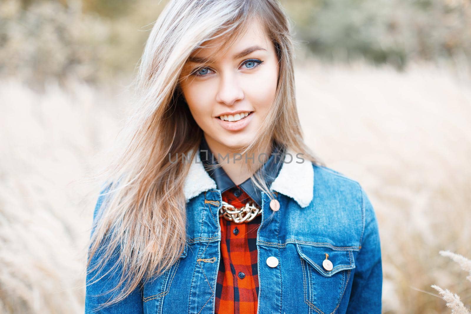 Portrait of a beautiful girl in denim dress on a background of autumn grass by alones