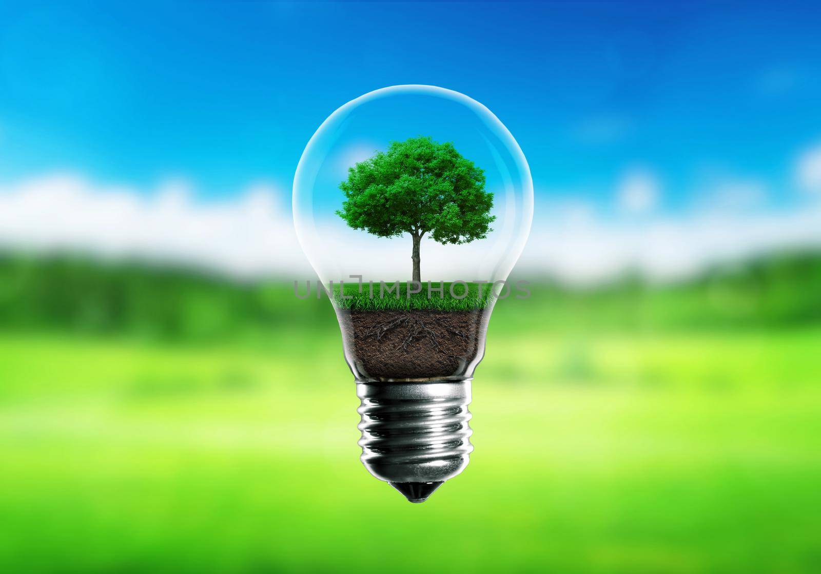 Green seedlings in a light bulb alternative energy concept, green blurred background. by alones