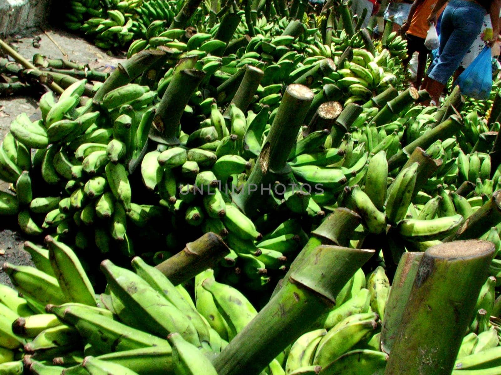 salvador, bahia / brazil - eeptember 11, 2005: Bananas are seen for sale at a free market in the city of Salvador