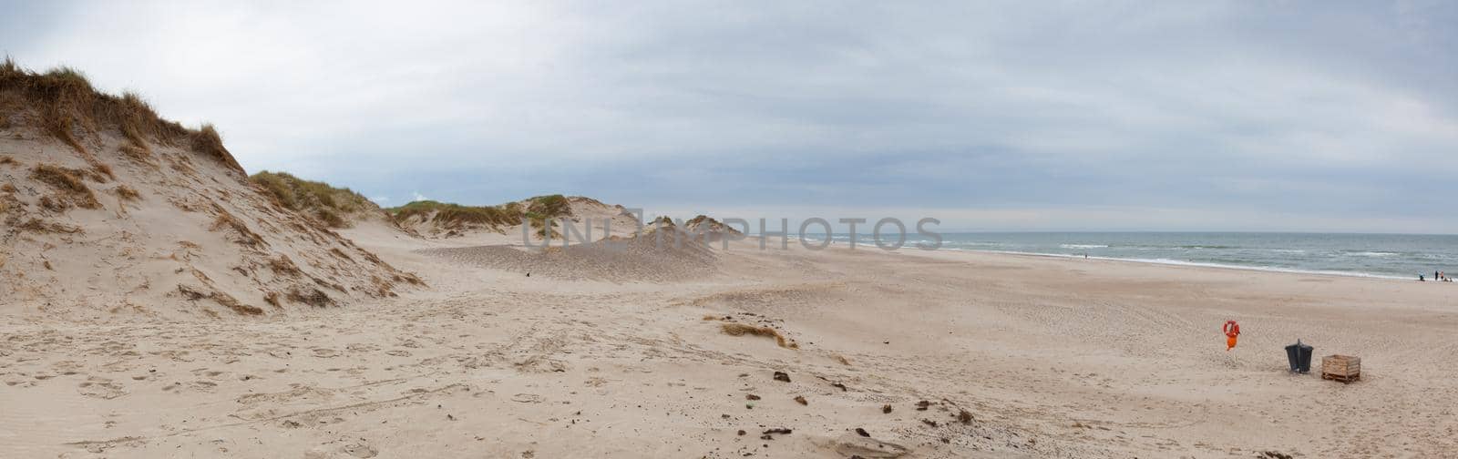 Holmsland Dunes next to Hvide Sande in Denmark  by CaptureLight