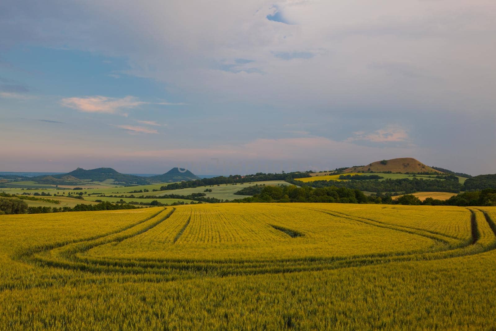 Landscape between the fields at the village Merunice, Czech Republic. by CaptureLight