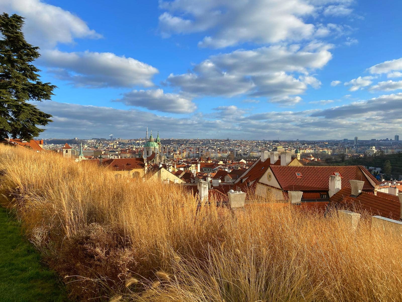 View from garden next to Schwarzenberg Palace., Prague, Czech Republic.  by CaptureLight
