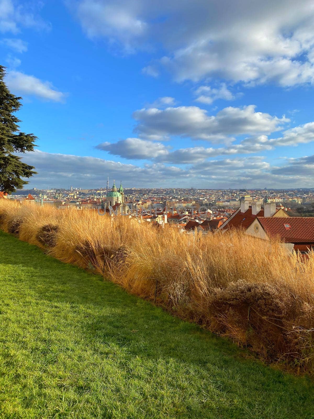 View from garden next to Schwarzenberg Palace., Prague, Czech Republic.  by CaptureLight