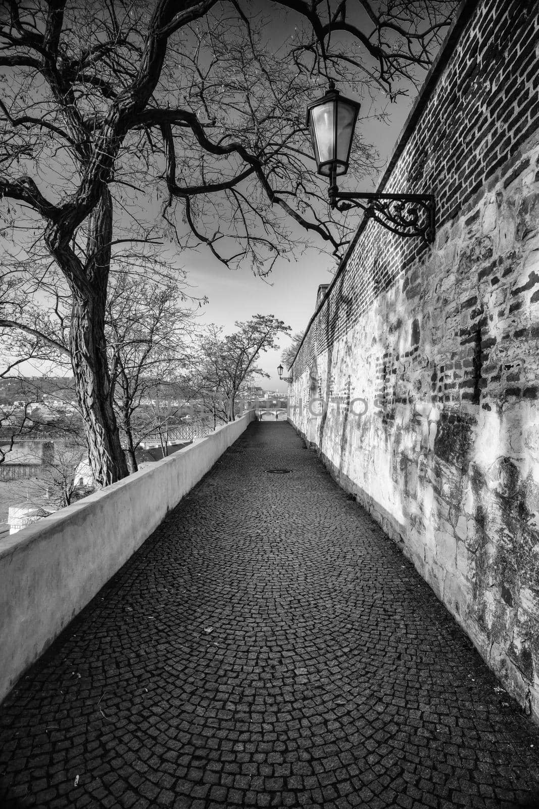 Vysehrad fort in the evening, Prague, Czech Republic. Vyšehrad is a historic fort located in the city of Prague. It was built probably in the 10th century. Black and white photography.
