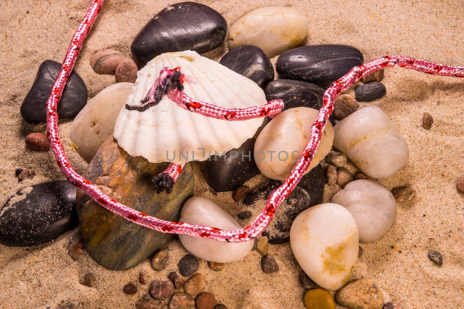 pink rope, plastic pollution on a beach with mussel and stones by Jochen