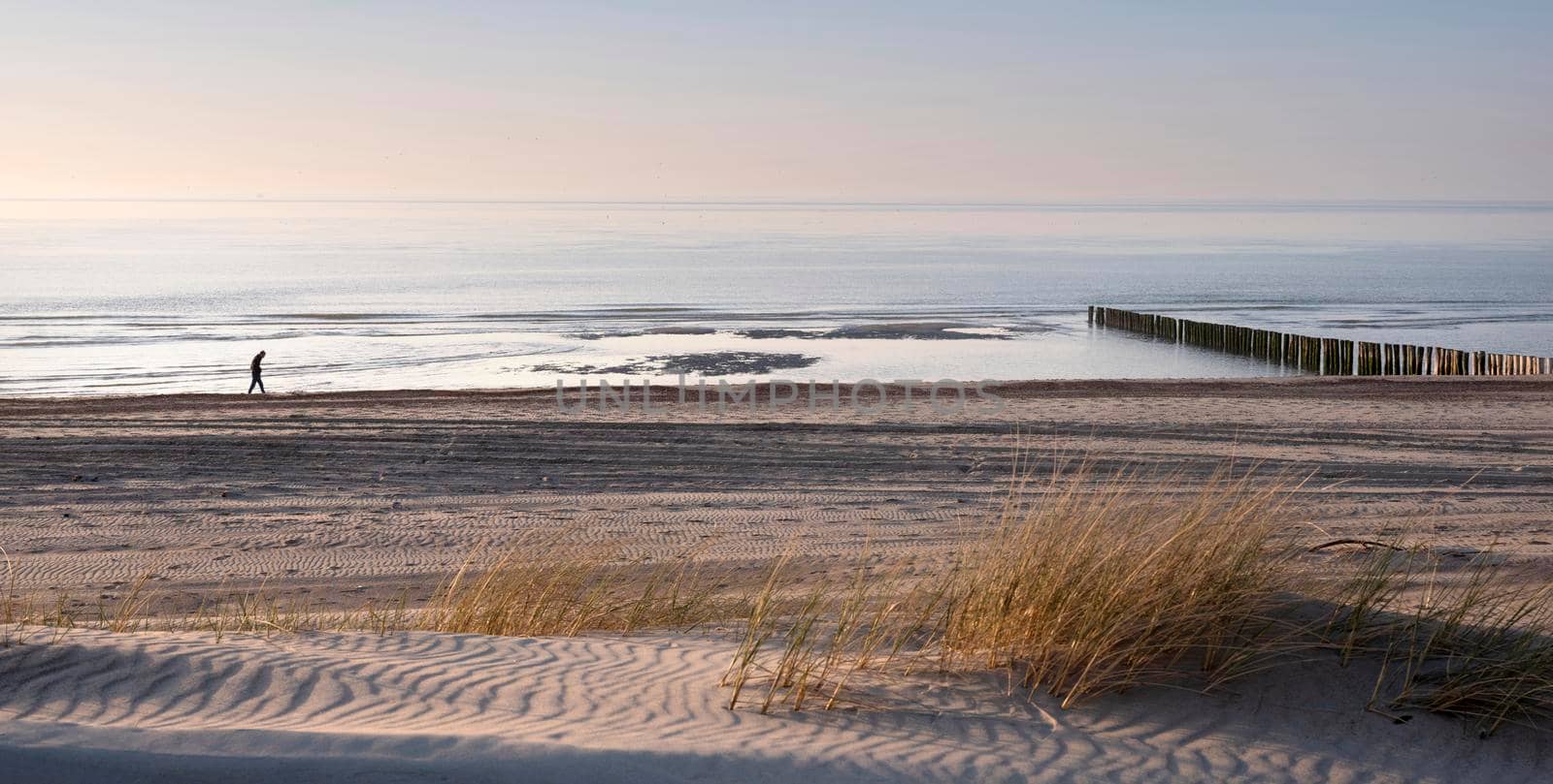 lonely figure strolls along beach of north sea in dutch province of Zeeland under blue sky in spring during sunset