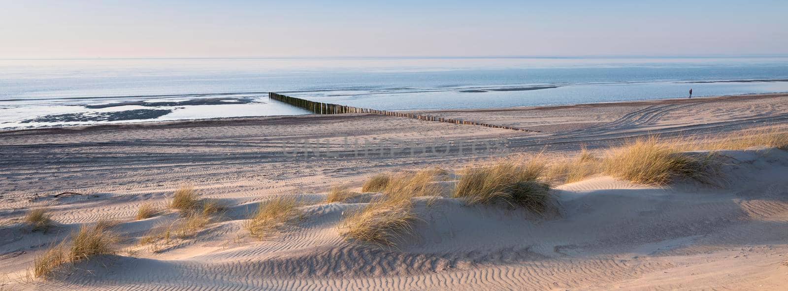 lonely figure strolls along beach of north sea in dutch province of Zeeland under blue sky in spring by ahavelaar