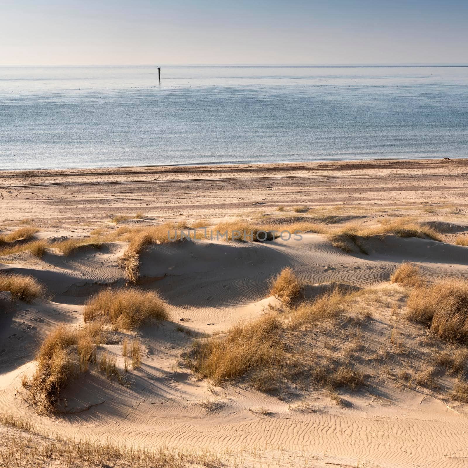 dunes and almost deserted beach on dutch coast near renesse in zeeland under blue sky by ahavelaar