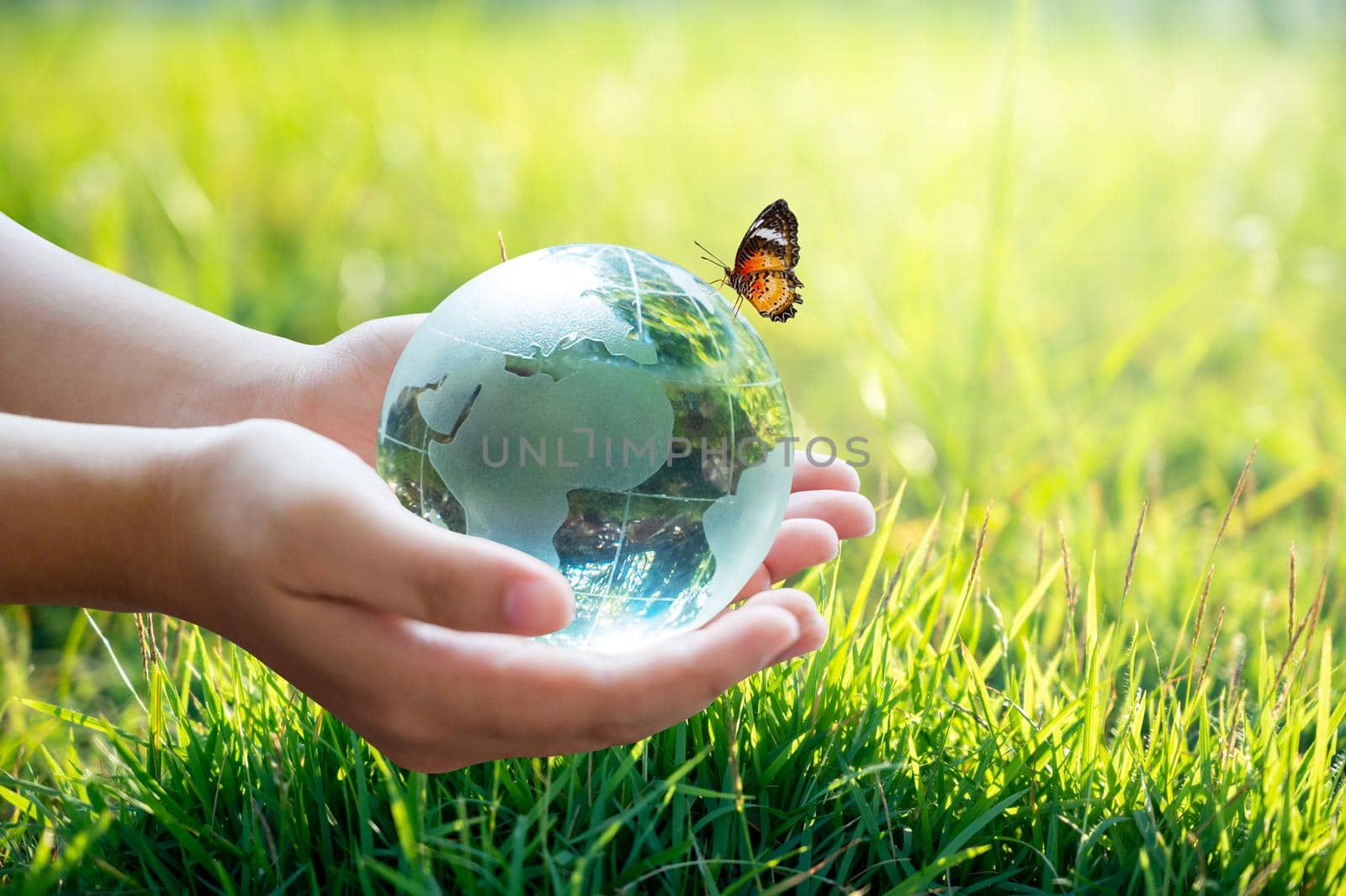 A man with a glass globe Concept day earth Save the world save environment The world is in the grass of the green bokeh background by sarayut_thaneerat