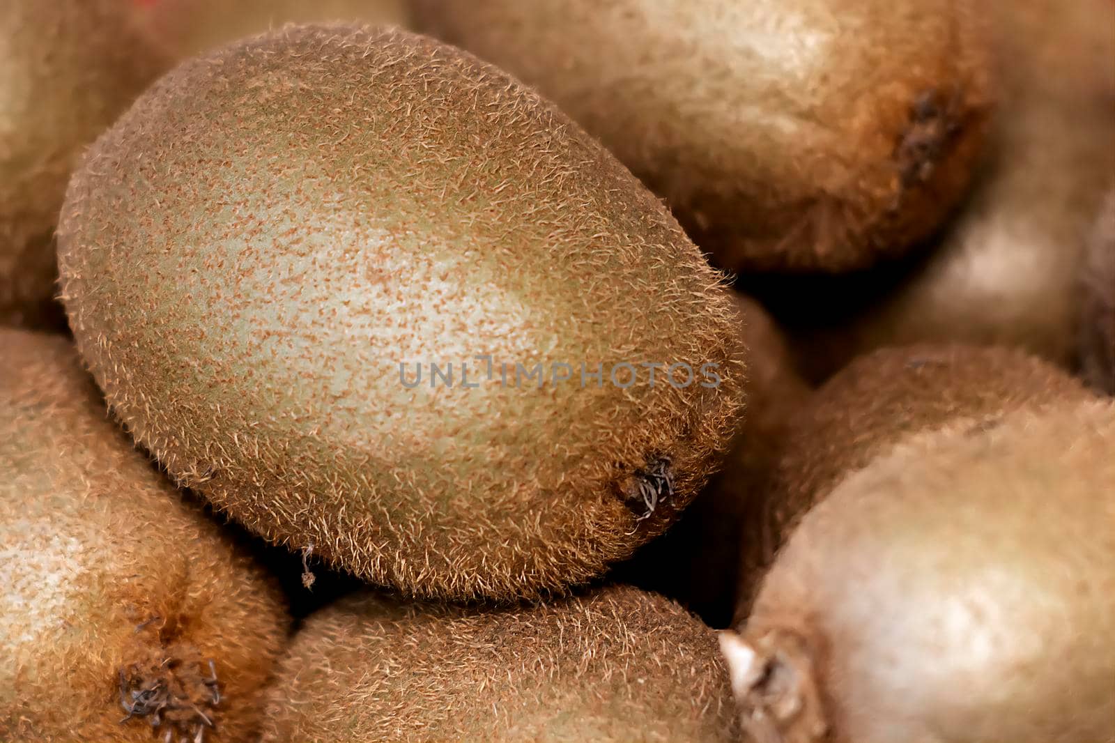 Close-up view of a group of kiwifruit with hairy skin.