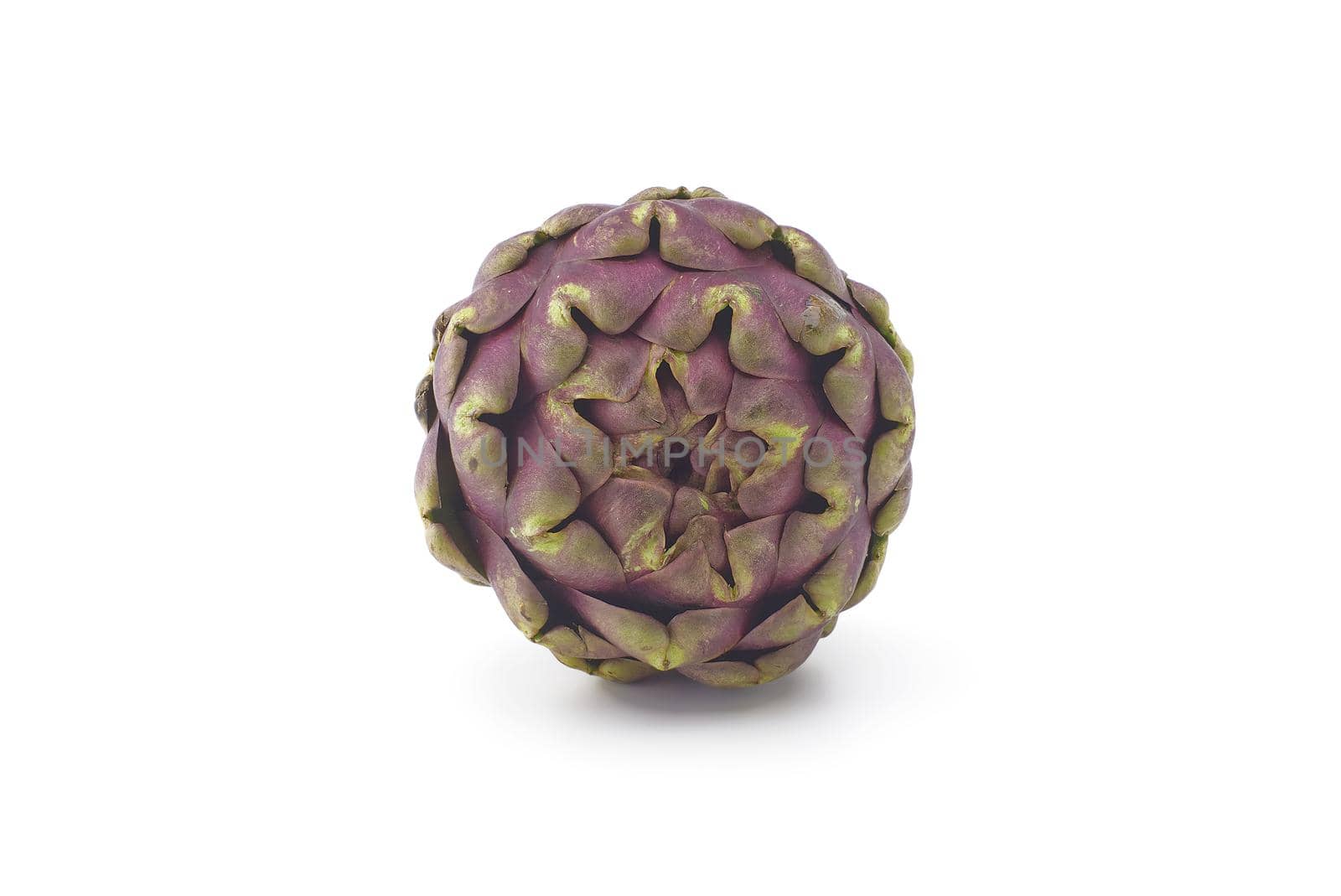 Fresh purple artichoke isolated on a white background