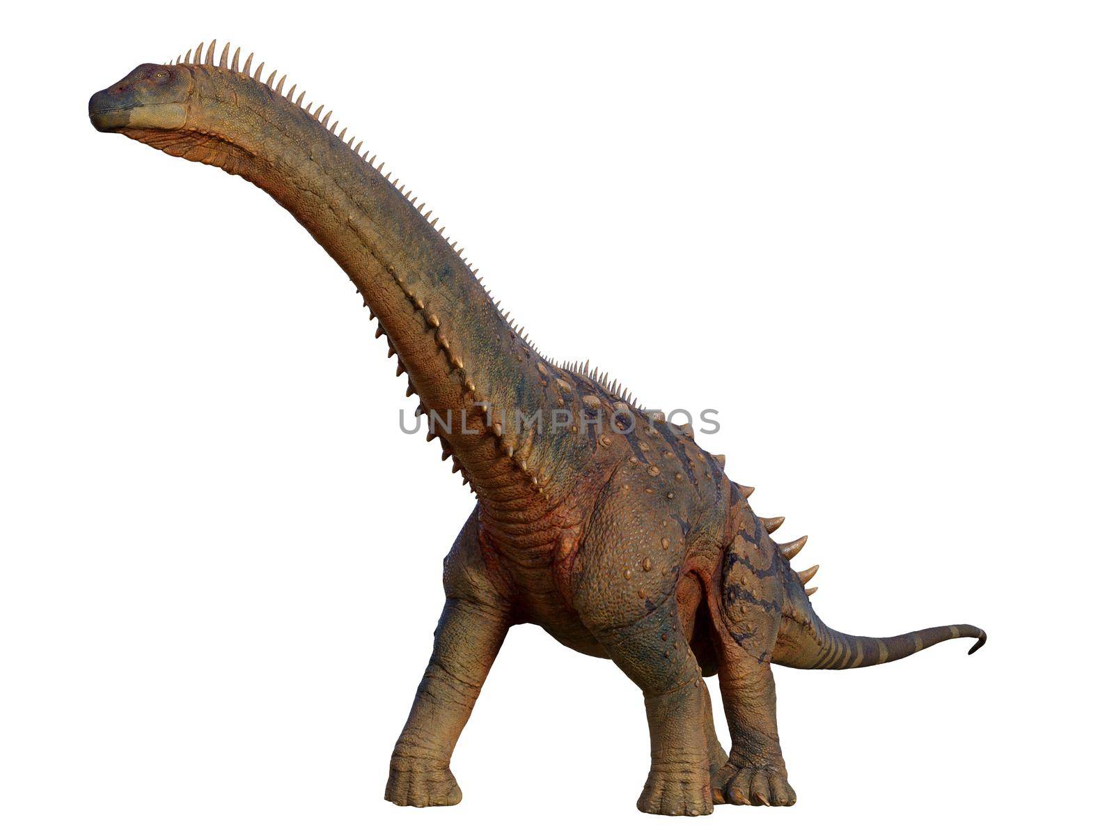 Alamosaurus was a herbivorous Titanosaur sauropod that lived in North America during the Cretaceous Period.