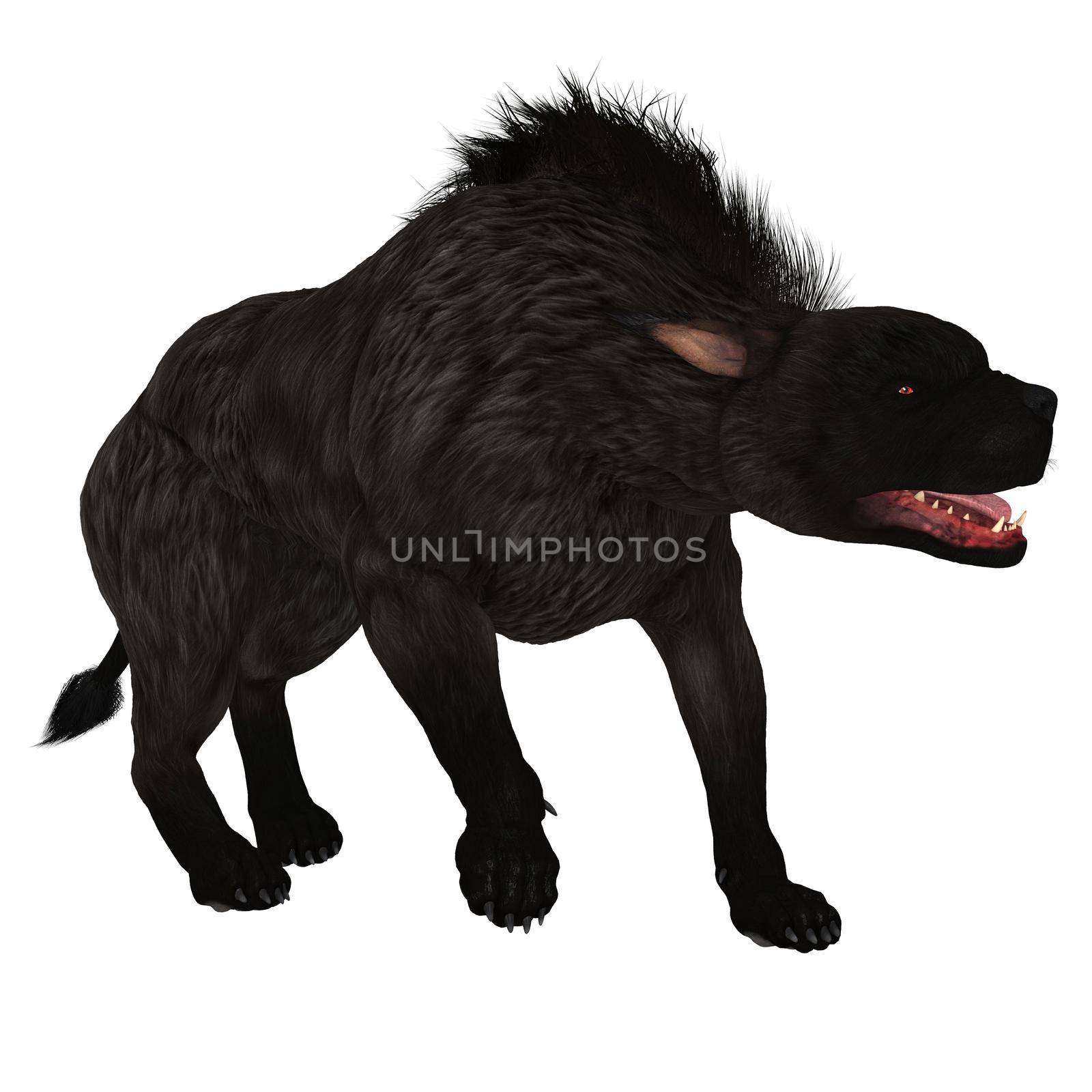 The Warhound also called Hellhound is the mythical dog that guards the gates of Hell with glowing red eyes.