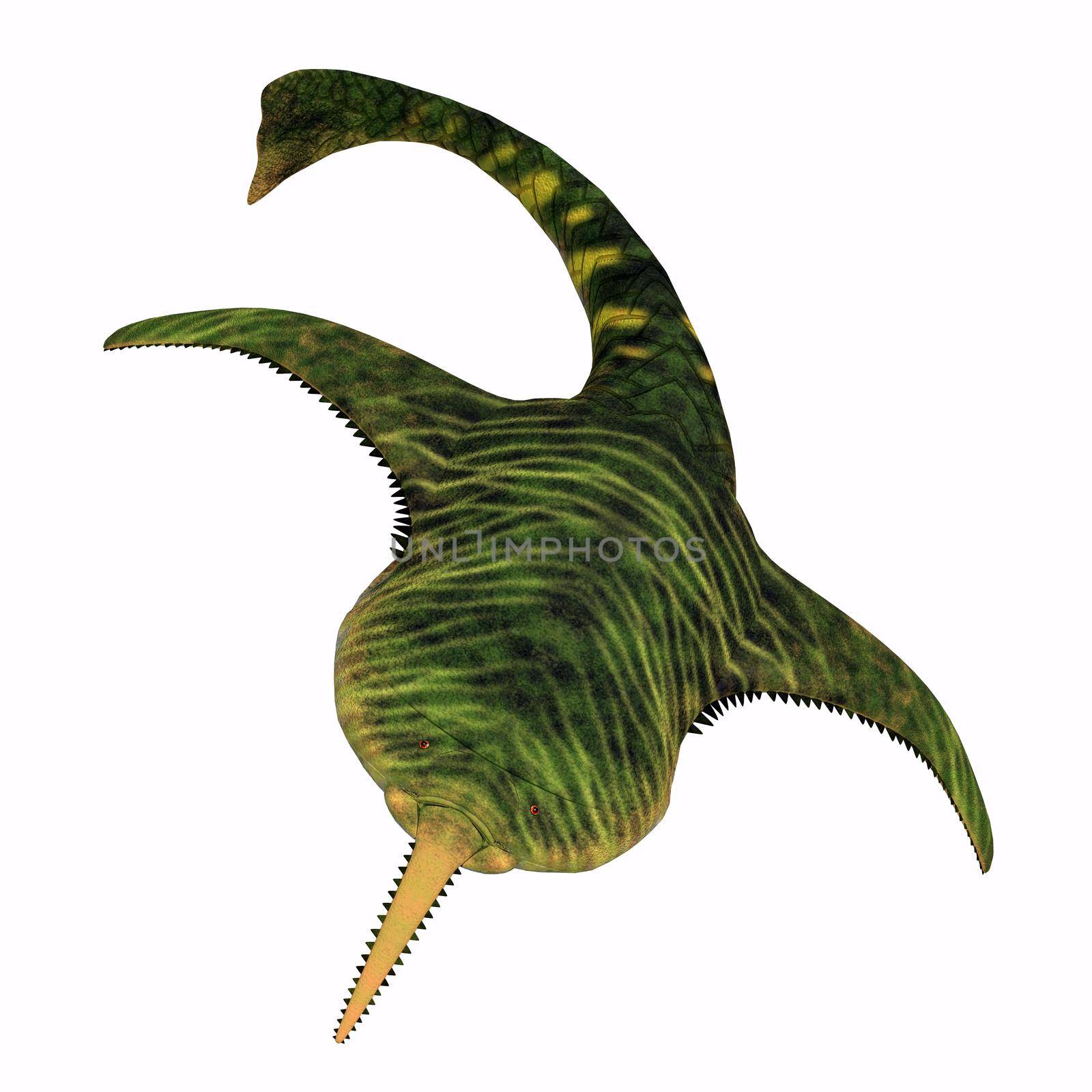 Doryaspis was a carnivorous fish that lived during the Devonian Period in the Paleozoic seas.