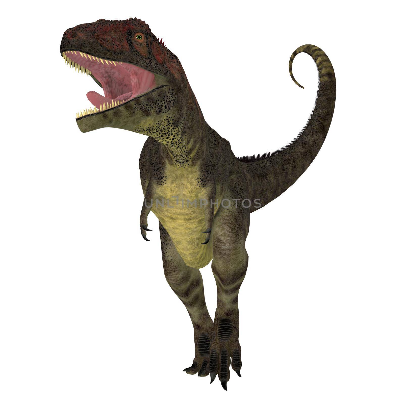 Mapusaurus Dinosaur Aggression by Catmando