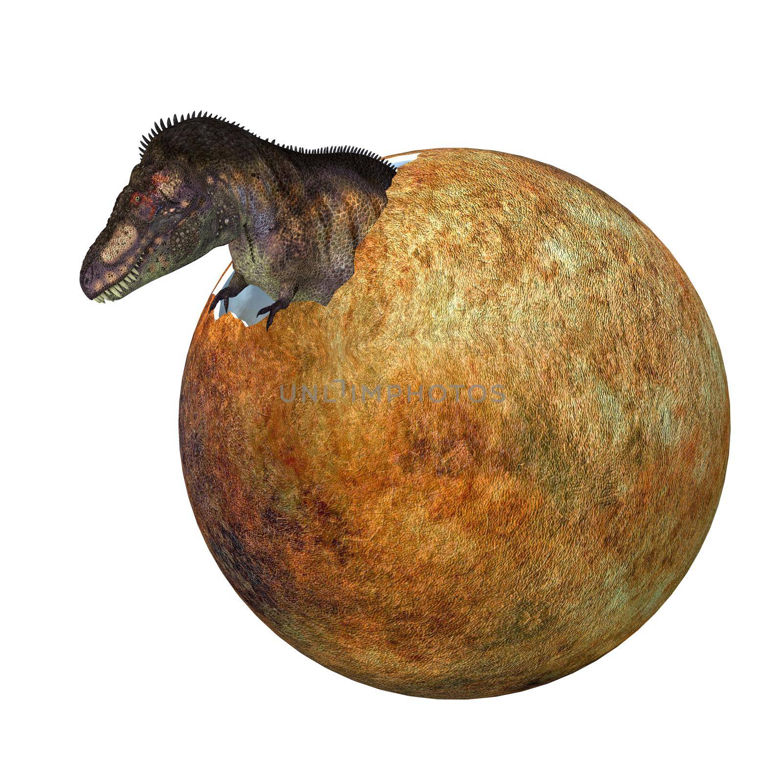 A baby Tyrannosaurus rex dinosaur hatches out of an egg during the Cretaceous Period of North America.