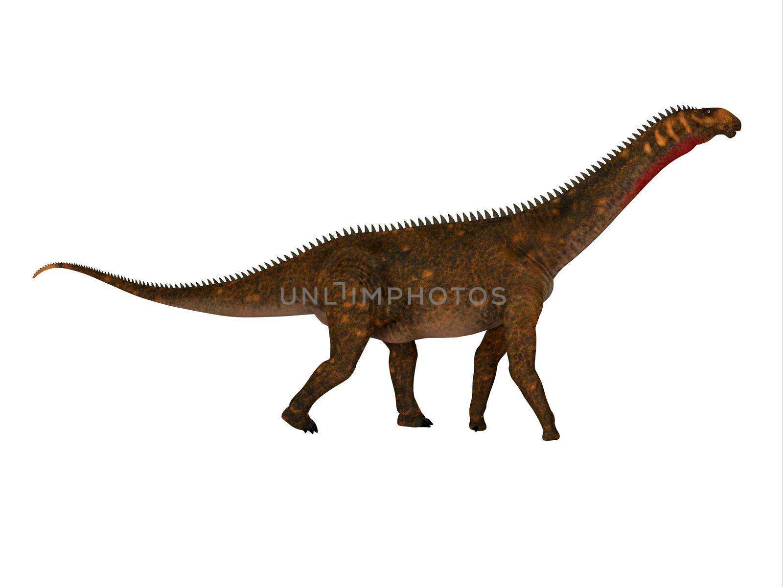 Mierasaurus was a herbivorous sauropod dinosaur that lived in Utah, USA during the Cretaceous Period.