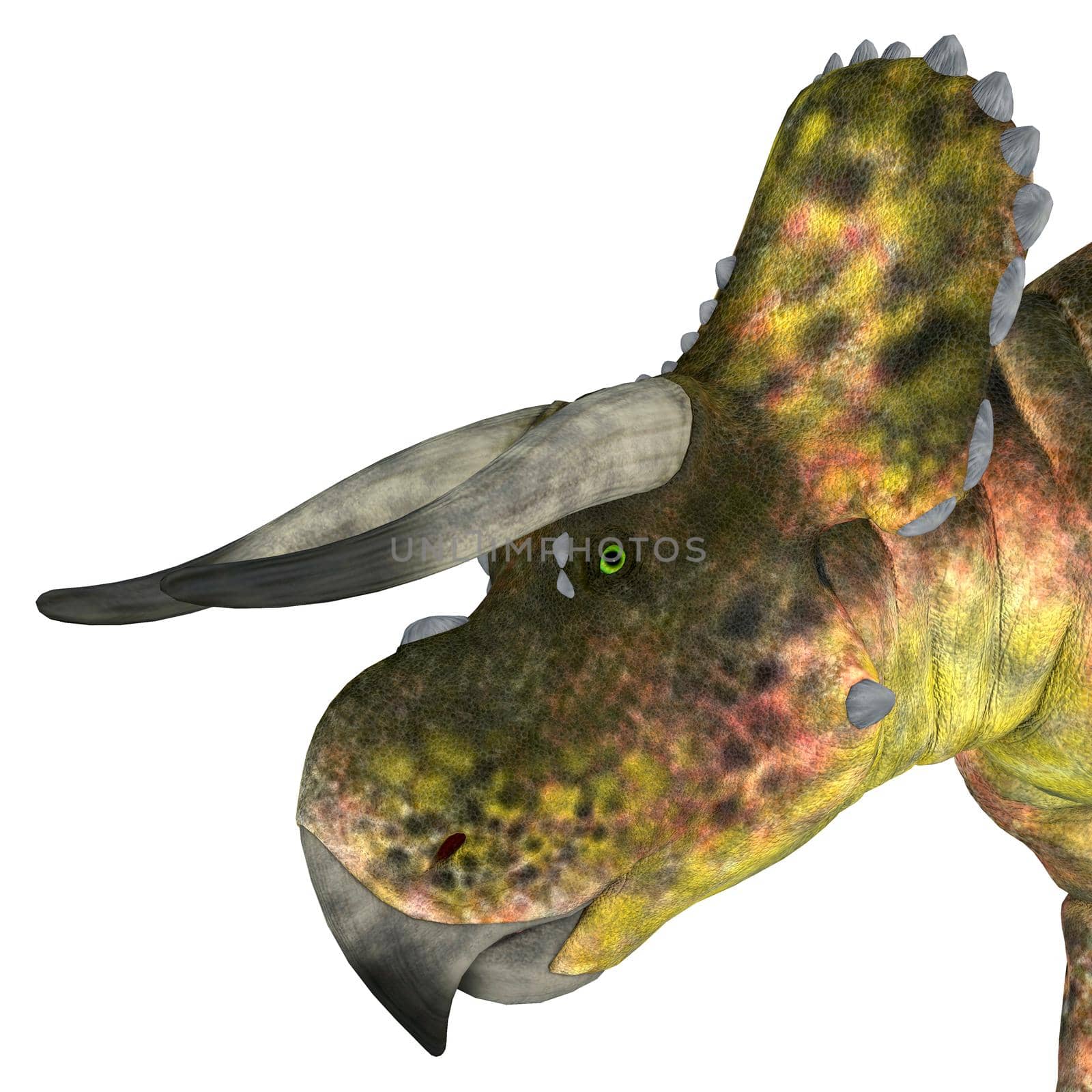 Nasutoceratops Dinosaur Head by Catmando