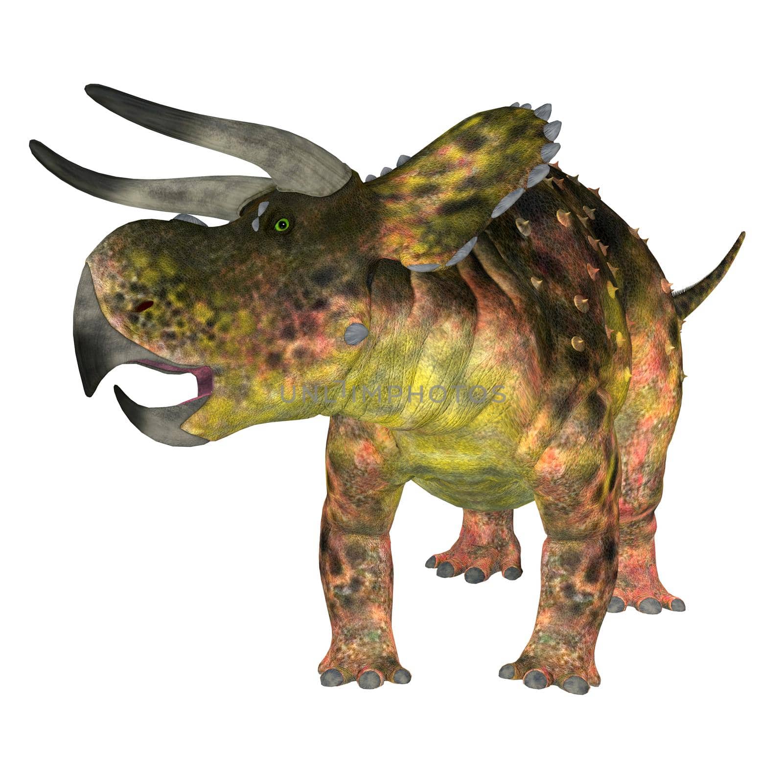 Nasutoceratops Dinosaur on White by Catmando