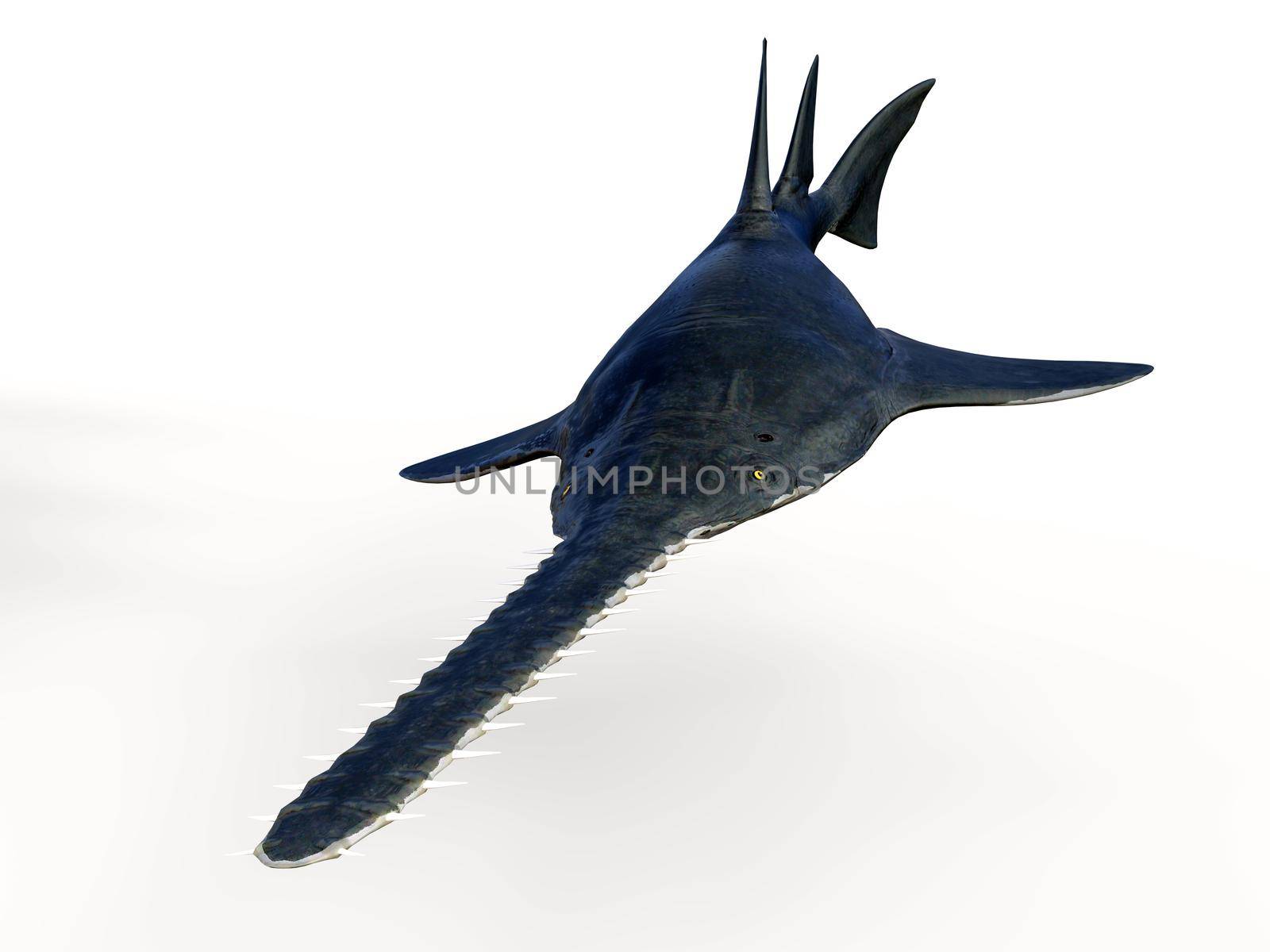 Onchopristis is an extinct predatory sawfish that lived in the seas of North America and North Africa during the Cretaceous Period.