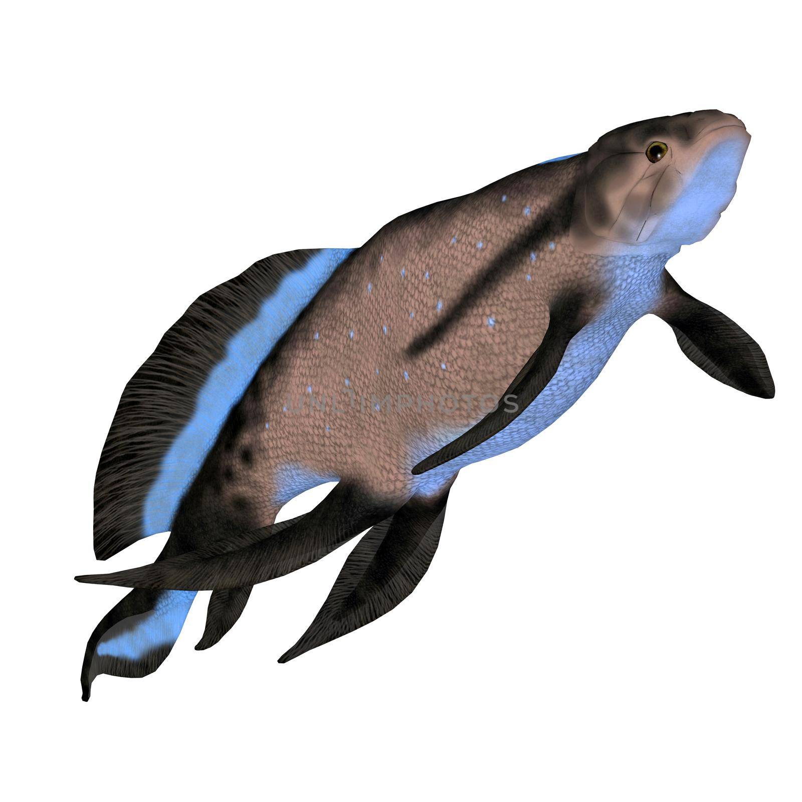 Scaumenacia is an extinct predatory fish that lived in marine environments during the Devonian Period.