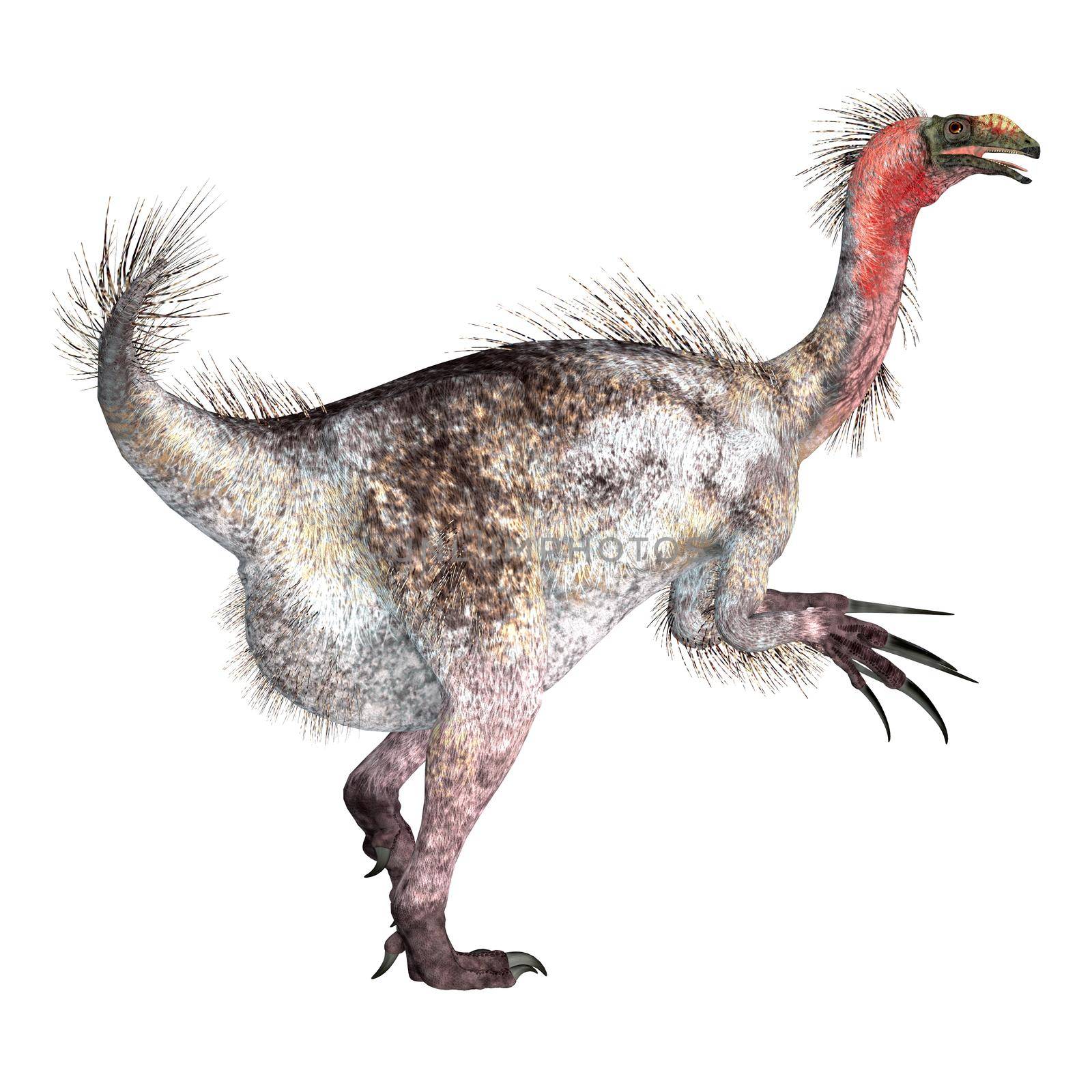 Therizinosaurus was a theropod carnivorous dinosaur that lived in Mongolia during the Cretaceous Period.