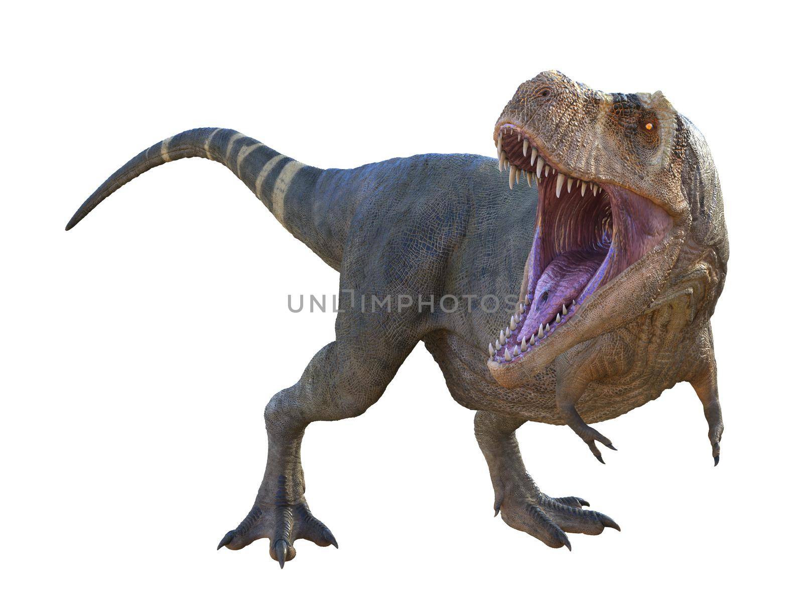 Tyrannosaurus Dinosaur Roaring by Catmando