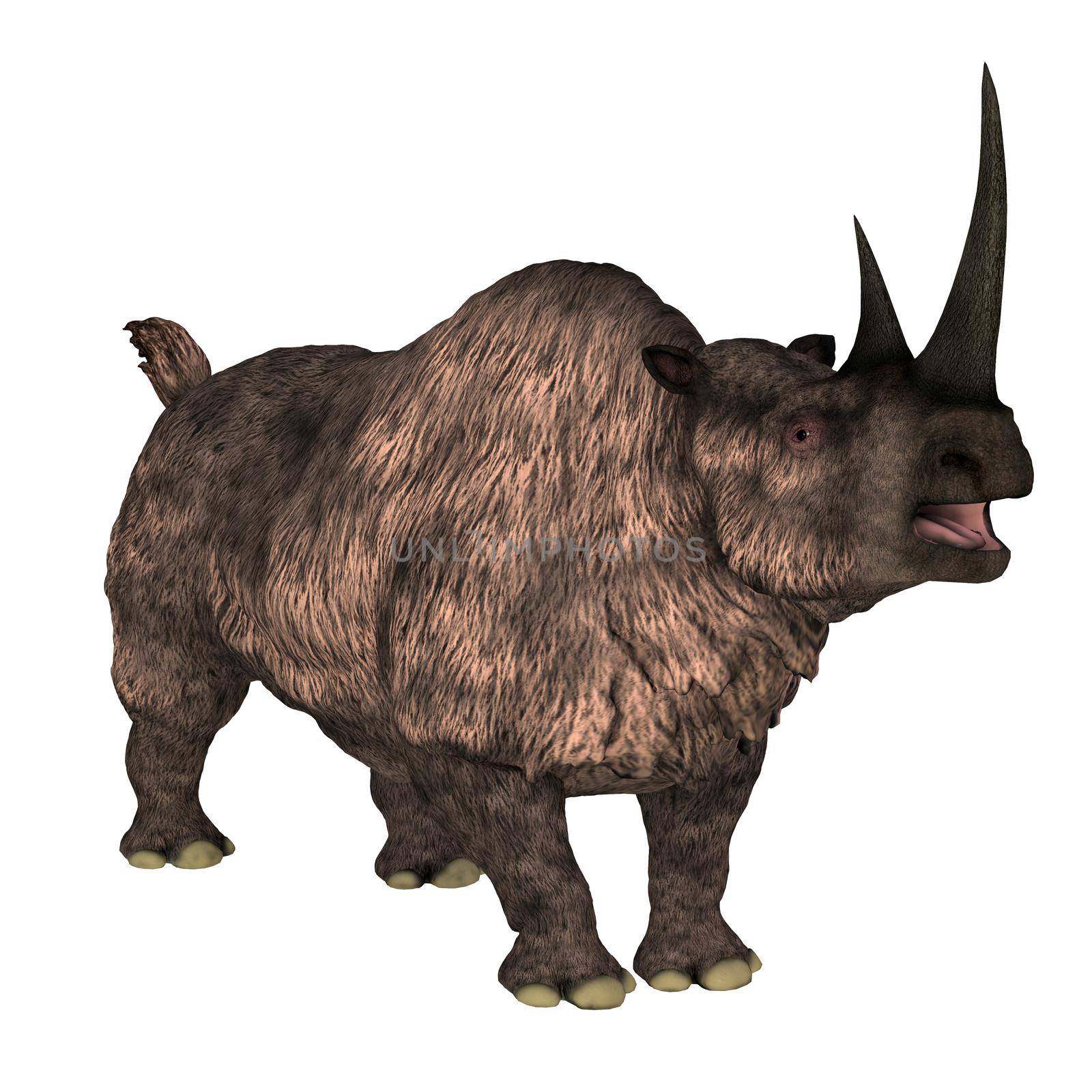 The Woolly rhinoceros was a herbivorous mammal that lived in Europe and Asia during the Pleistocene Period.