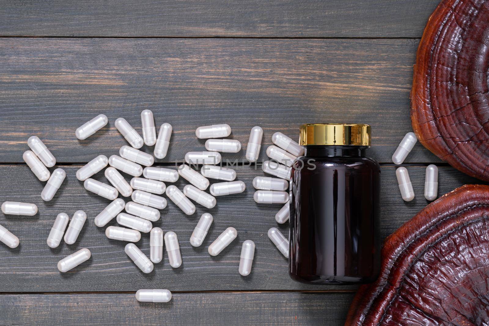 Close up of Ling zhi mushroom, Ganoderma lucidum mushroom and capsule with bottle mockup on wood table