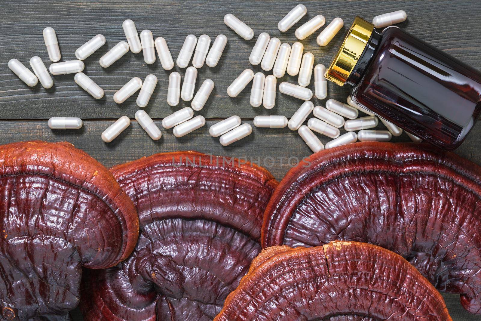 Close up of Ling zhi mushroom, Ganoderma lucidum mushroom and capsule with bottle mockup on wood table