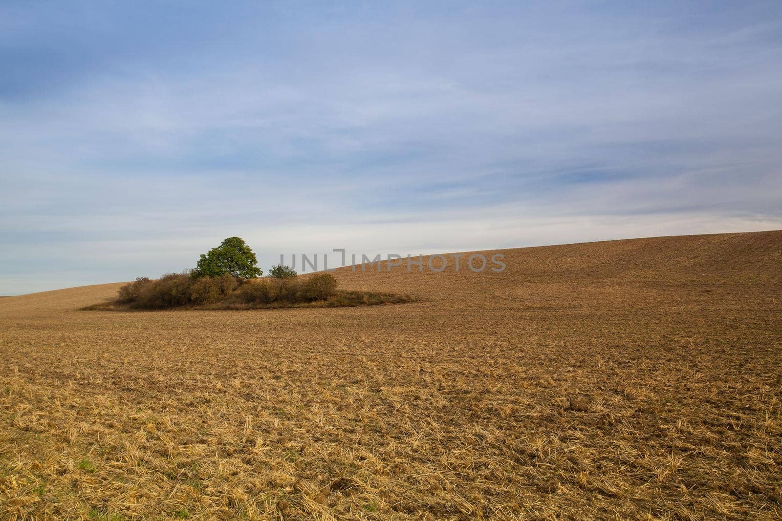 Autumn landscape with agricultural land. Czech Republic. by CaptureLight