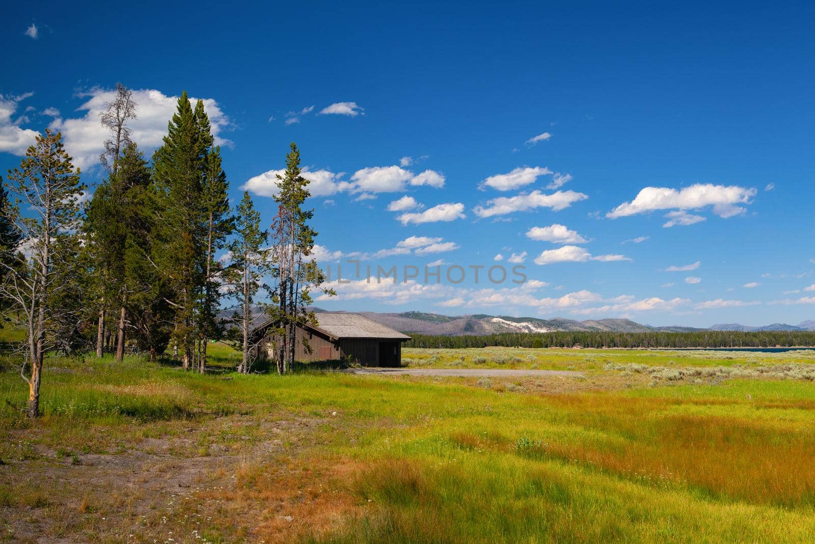 Scenery in Yellowstone National Park, Wyoming, USA. by CaptureLight