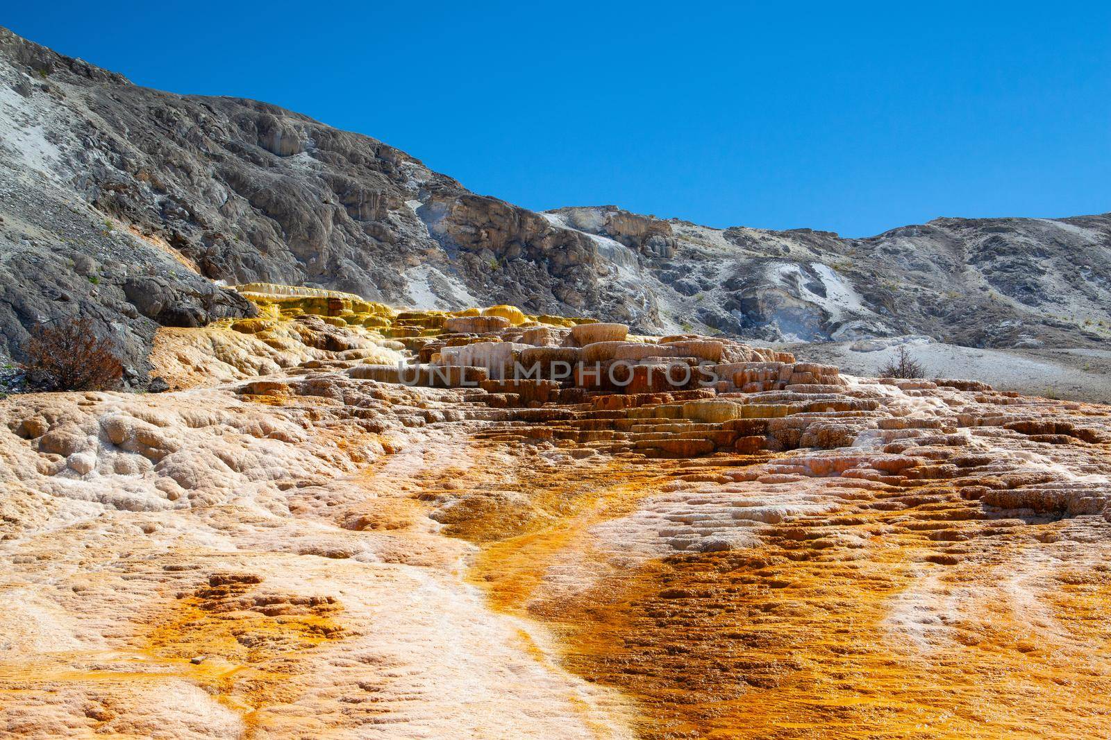 Mammoth Hot Springs Terraces, Wyoming, USA by CaptureLight