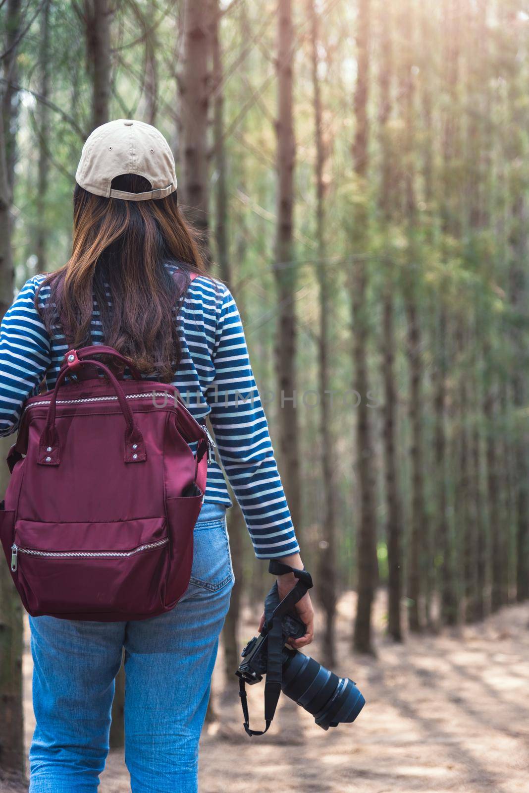 Young female lifestyle photographer travel in forest nature with backpack abd copy space.