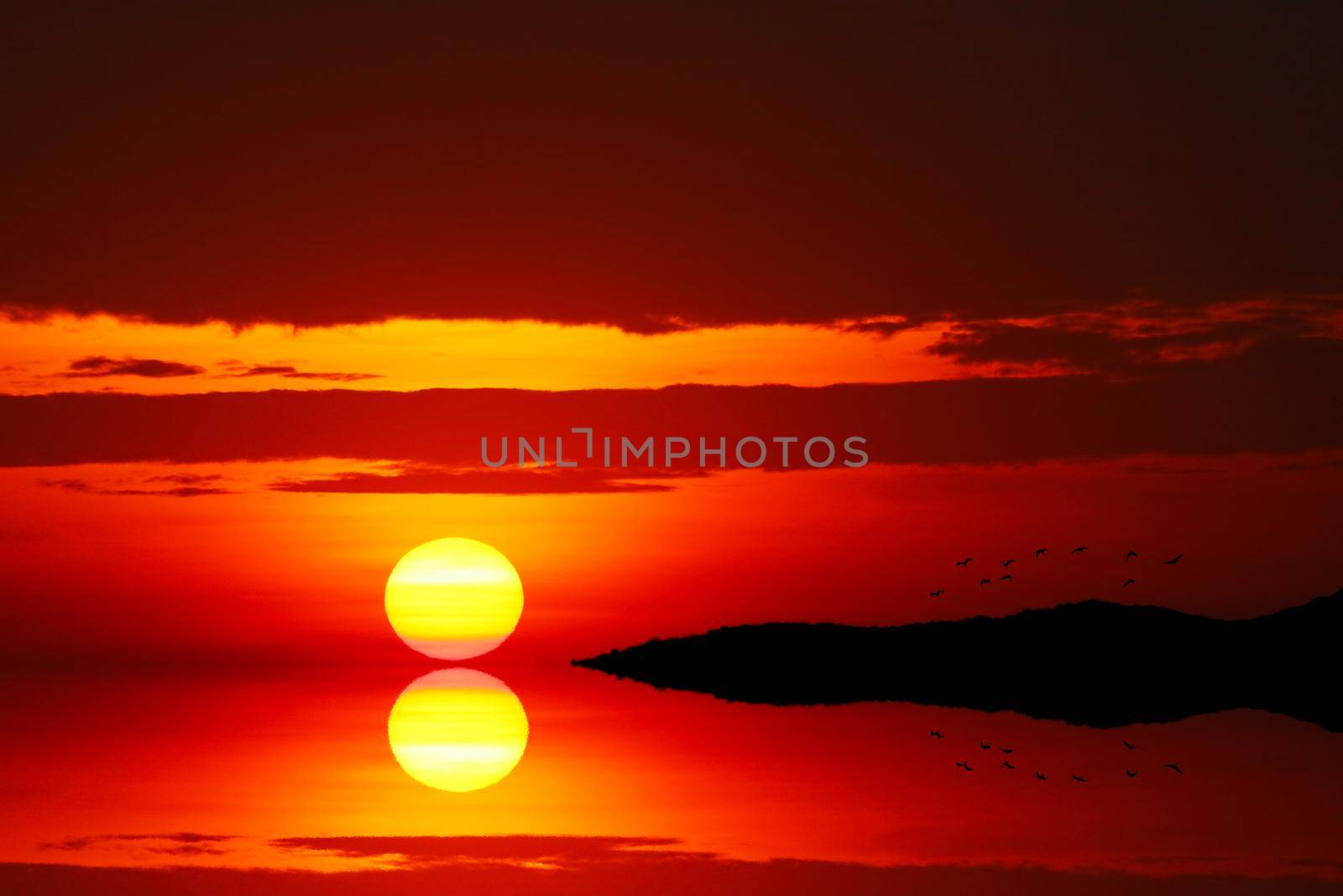 reflection sunset on the evening light cloud on the sky and silhouette birds flying by Darkfox