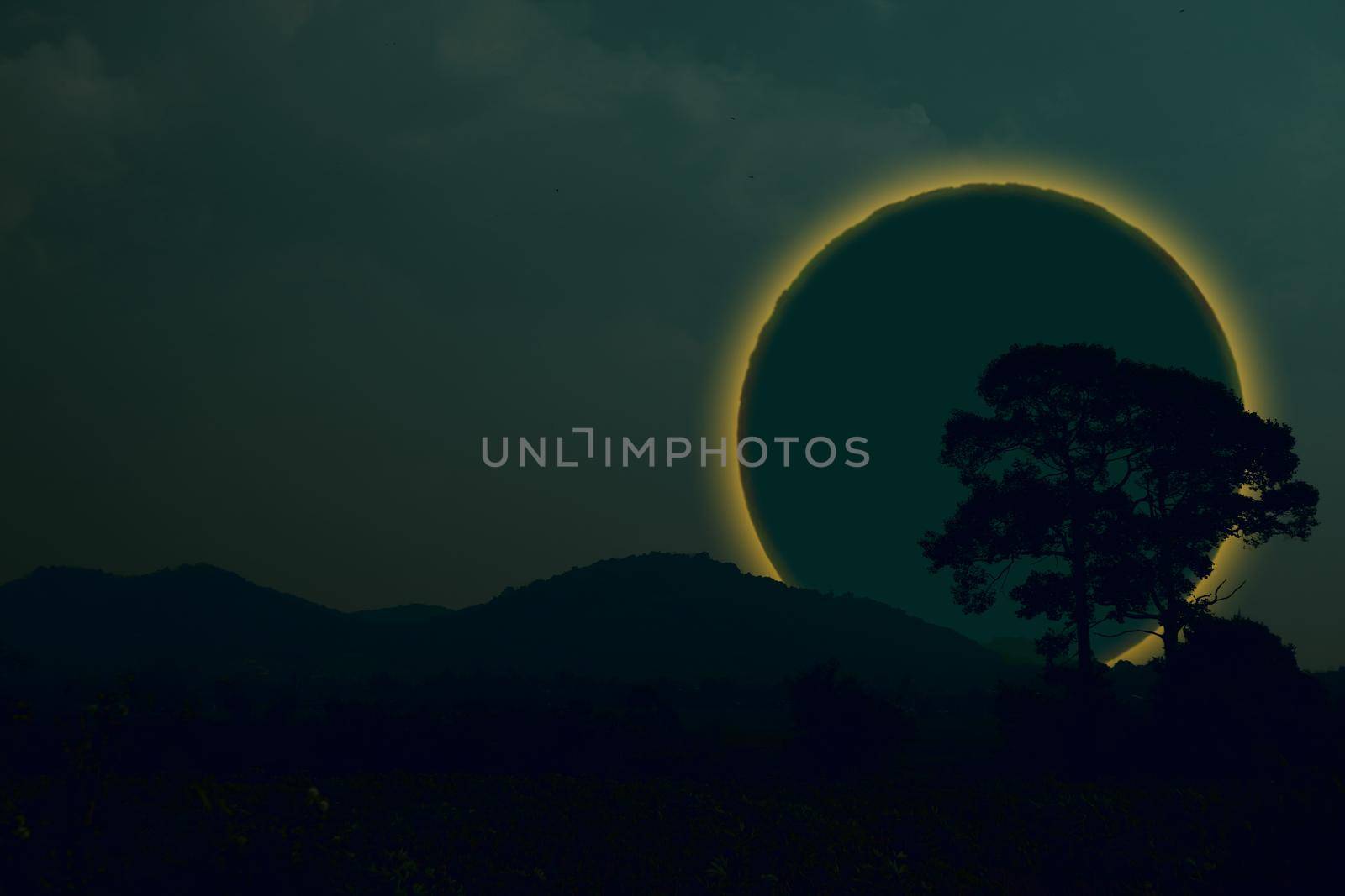 Ring lunar eclipse back silhouette tree and mountain on the night sky