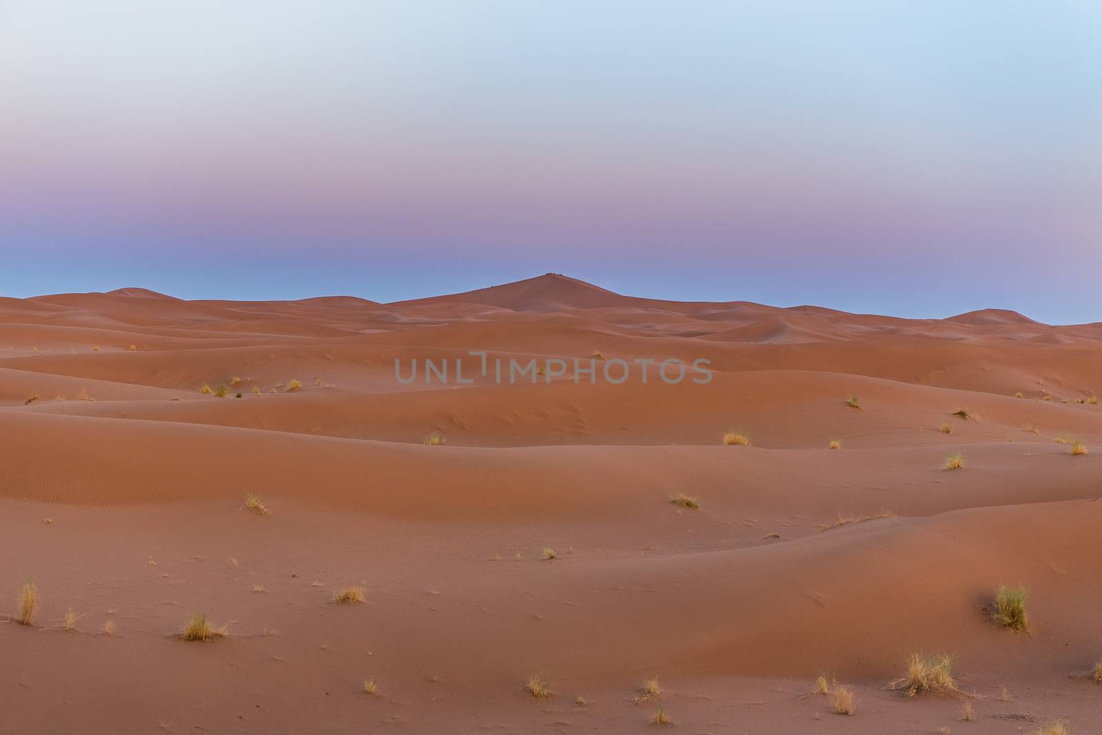Dunes in the desert of Sahara, Morocco.