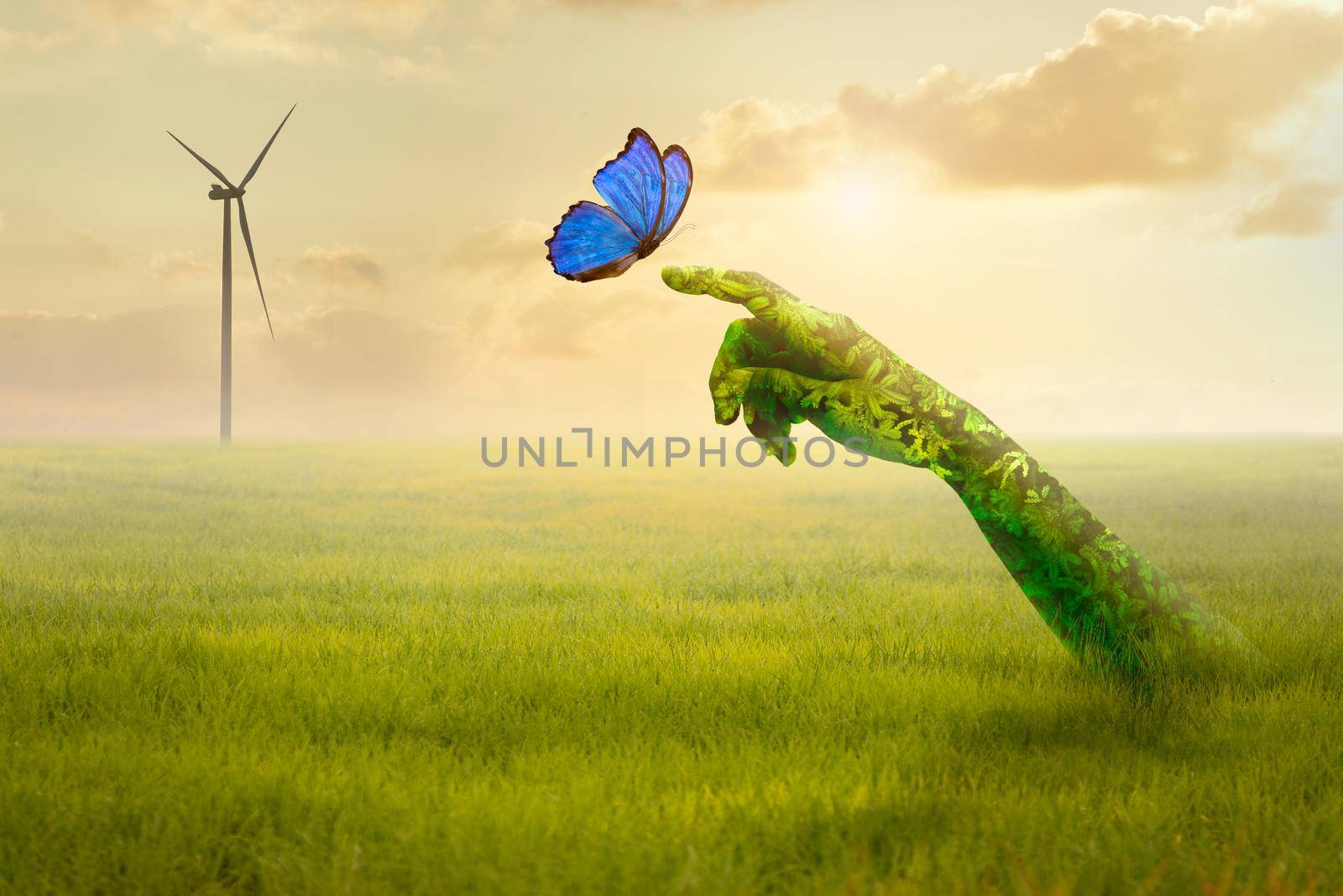Green hand holding beautiful butterfly on green field and wind turbine background. Nature Concept.