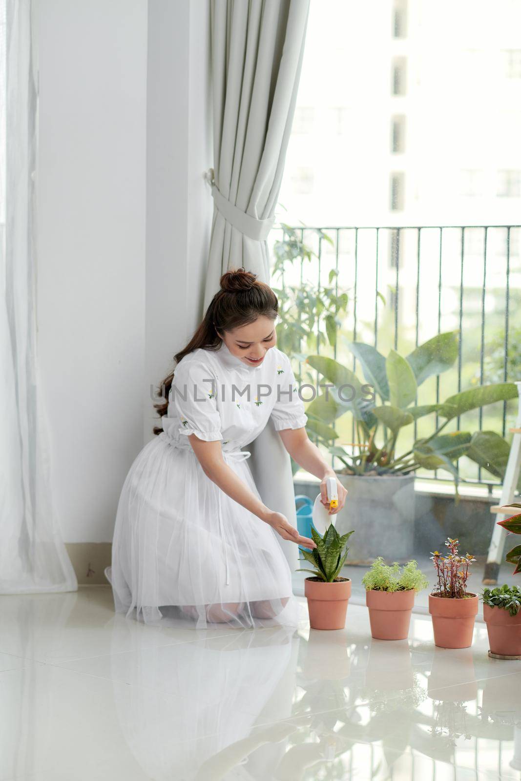 Woman caring for house plant. 