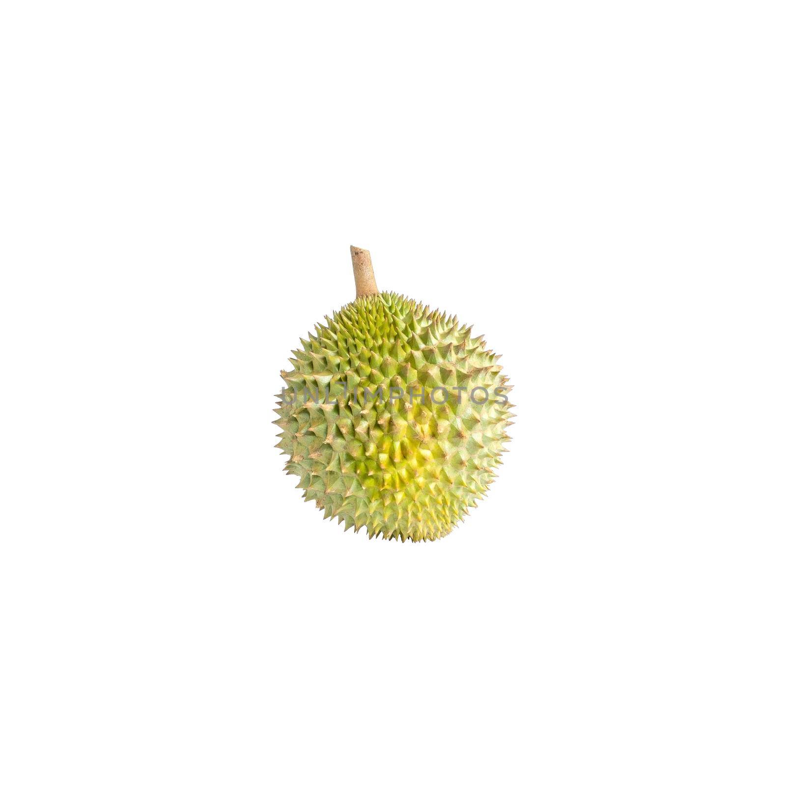 The ripe durian is ready to eat  on white background. by wattanaphob