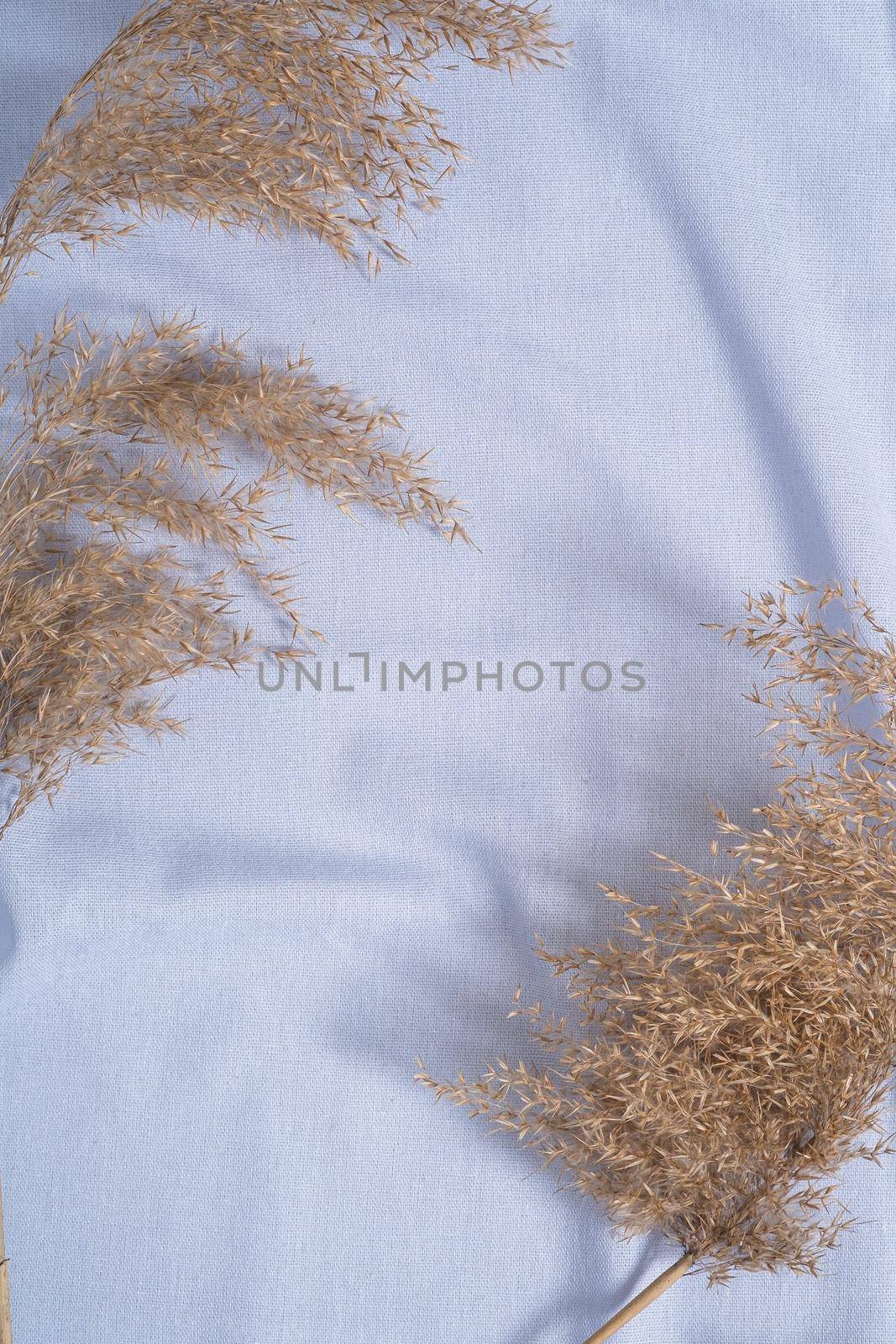 Blue neutral colored textile, linen fabric near to decor dry pampas grass