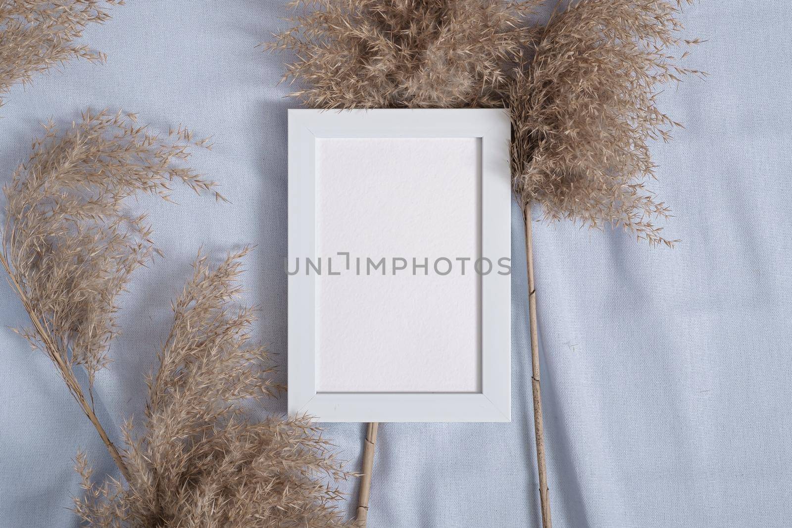 Picture frame with blank paper card mockup near to pampas dry grass on blue neutral colored textile by Frostroomhead