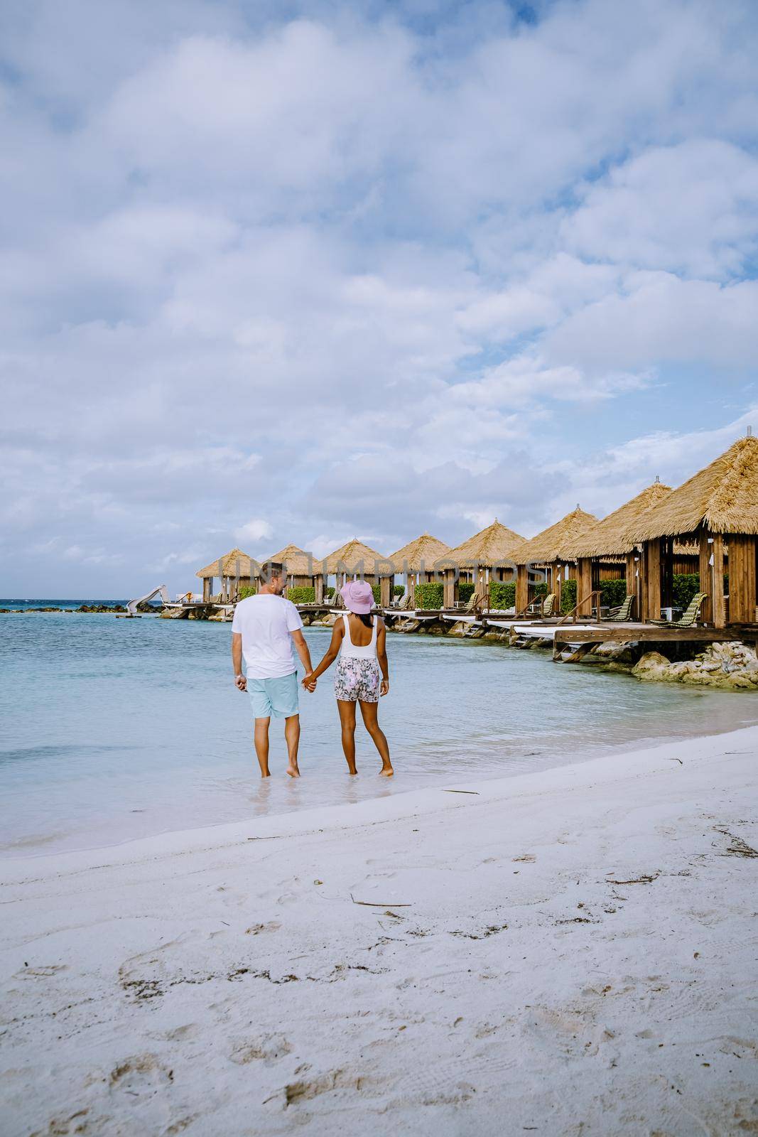 Aruba beach with pink flamingos at the beach, flamingo at the beach in Aruba Island Caribbean by fokkebok