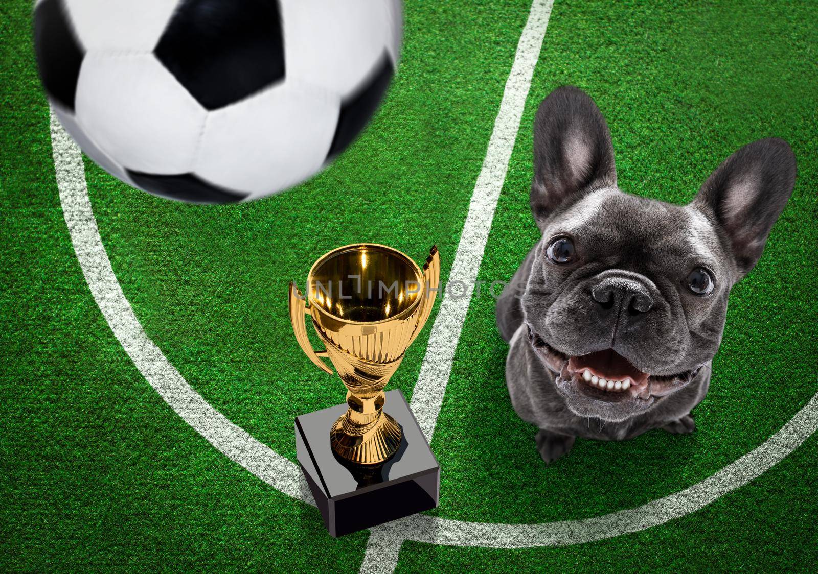 soccer player dog by Brosch