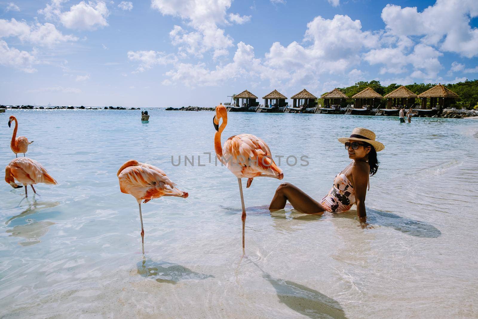 Aruba beach with pink flamingos at the beach, flamingo at the beach in Aruba Island Caribbean. A colorful flamingo at beachfront, woman on the beach with flamingos