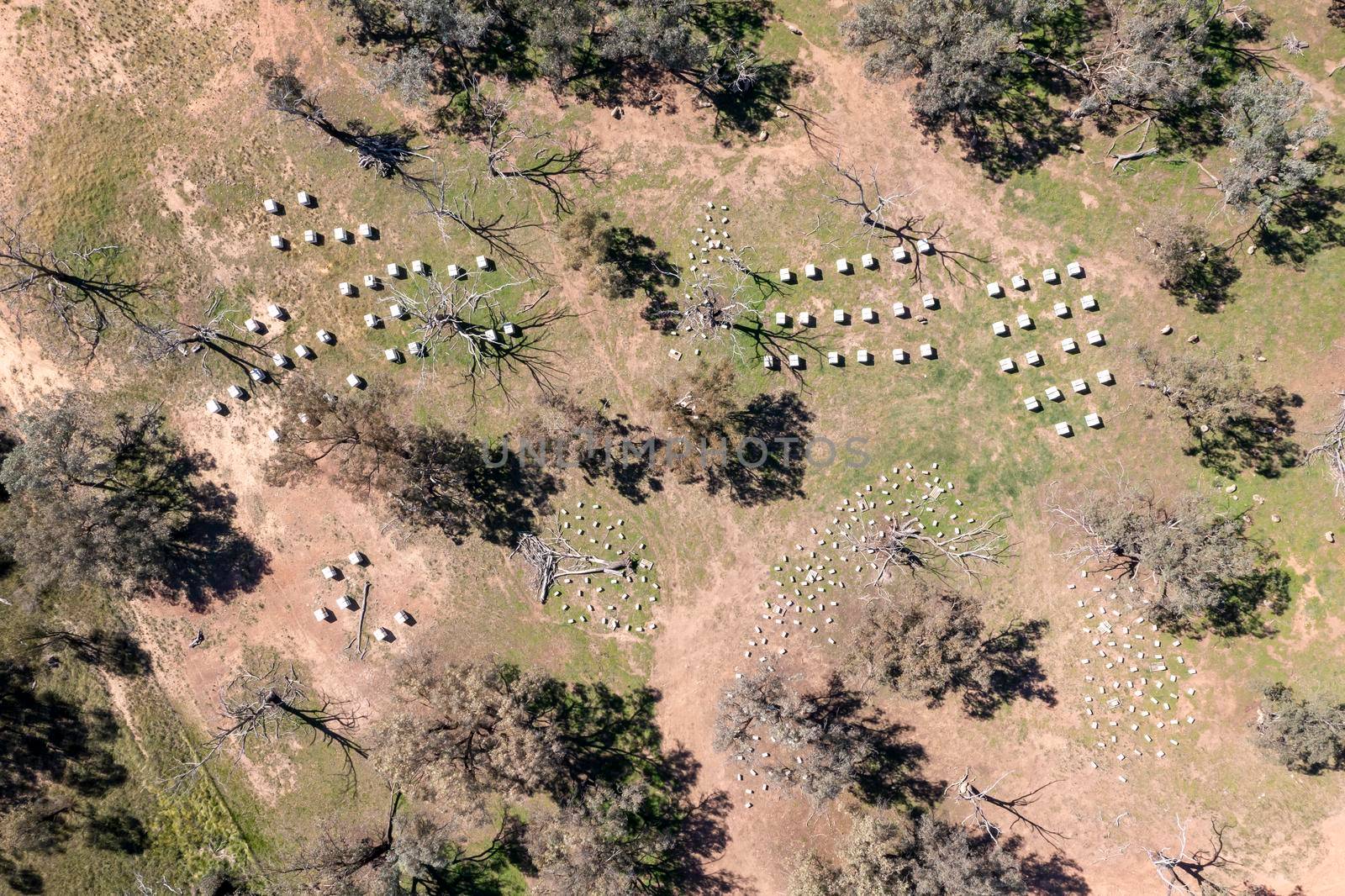 Drone aerial photograph of a large Bee Hive farm in a green field in regional New South Wales in Australia