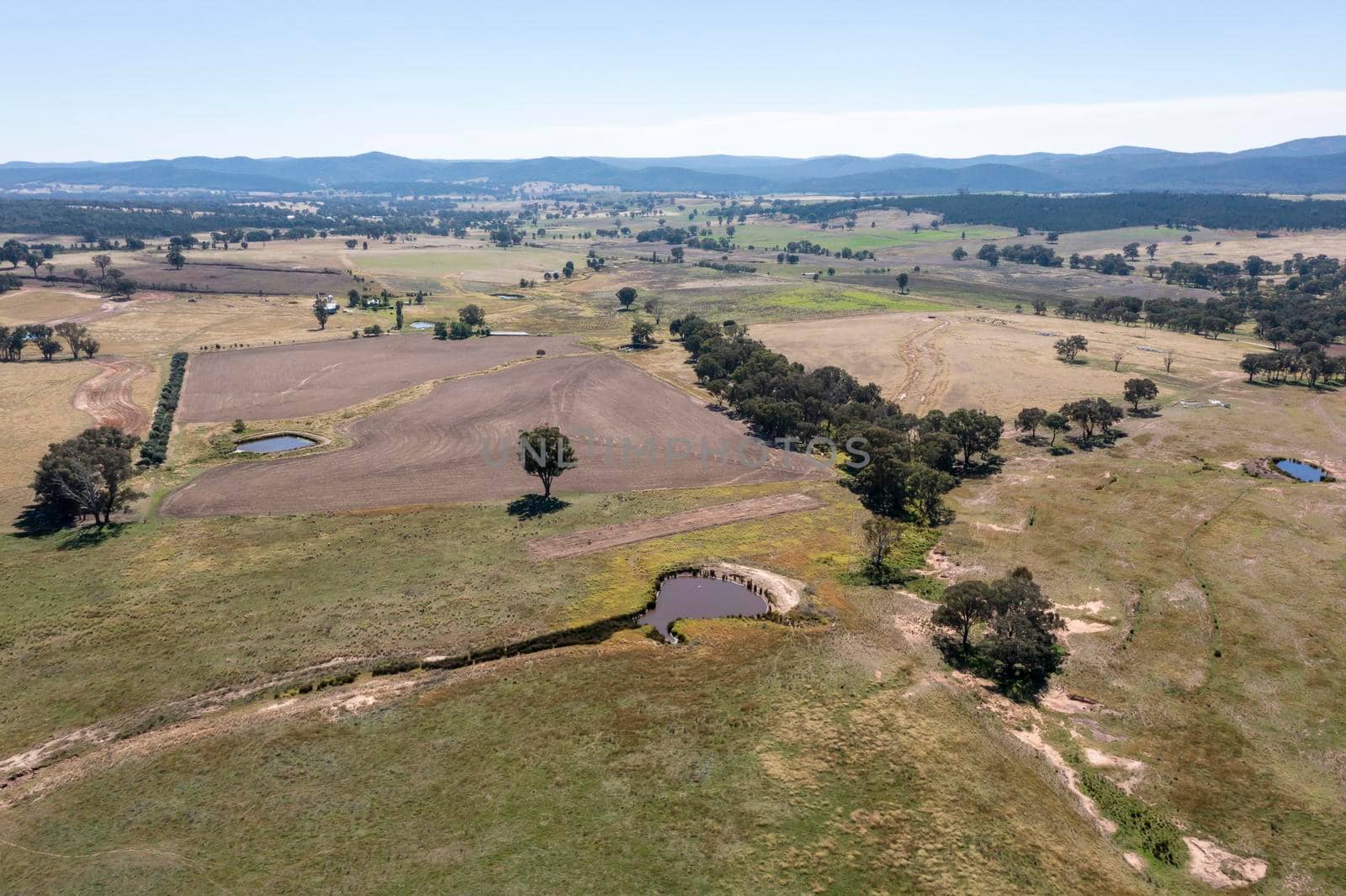 Drone aerial photograph of large green agricultural fields in regional New South Wales in Australia